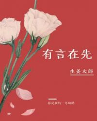 有言在先打一字谜底